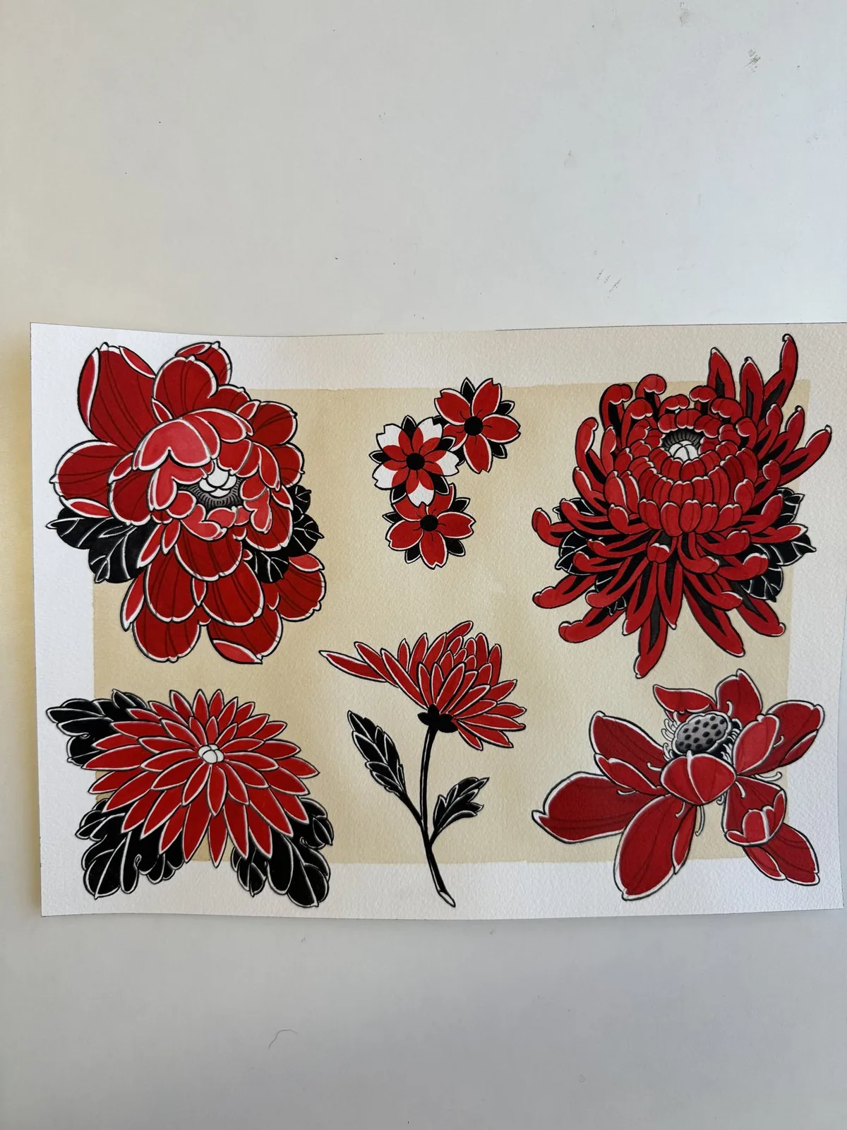 Flash archive view 15